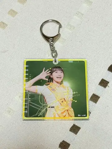 어솔트 릴리 트레이딩 댓글 포함 아크릴 키링 매실 이와타 히나키