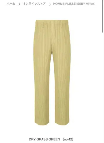 옴므 플리세 이세이 미야케 플리츠 슬랙스