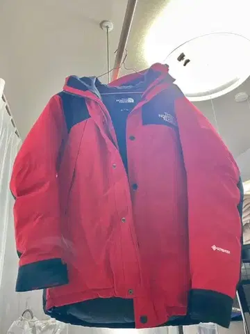 THE NORTH FACE 2019/마운틴 다운 자켓/L