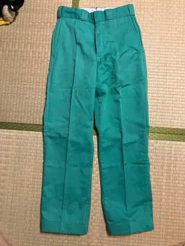 디키즈 터콰이즈 워크 팬츠 29 36