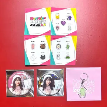 사쿠라자카46 모리타 히카루 메지루시 참 캔뱃지 산타 레어 키라