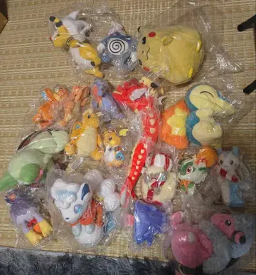 포켓몬 센터 봉제 인형 모음