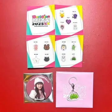 사쿠라자카46 야마자키 텐 메지루시 참 캔뱃지 산타