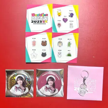 사쿠라자카46 코우사카 마리노 메지루시 참 캔뱃지 산타 레어 키라