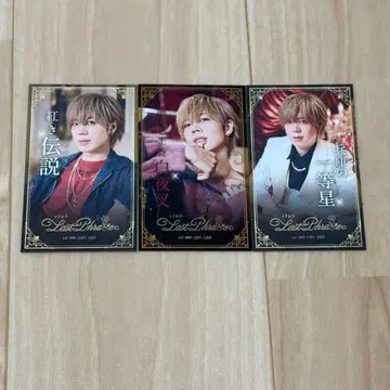 시마사카 2025 랜덤 실사 명함풍 카드 사카타 조이시 시로야샤