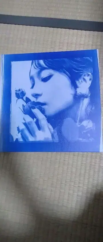 FC 한정판 LiSA 캔버스 아트