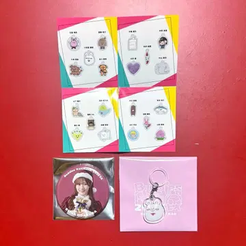 사쿠라자카46 오다쿠라 레이나 메지루시 참 캔뱃지 산타