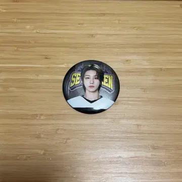 SEVENTEEN HOME 2025 럭키 드로우 캔뱃지 THE8 덤 포함