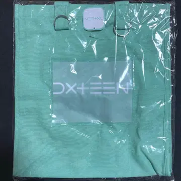 [ 미개봉 ] GIGO 한정판 DXTEEN 토트백