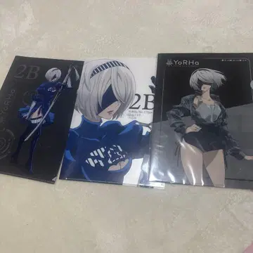 2B A2 YoRHa 클리어 파일