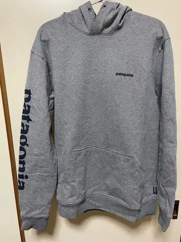 patagonia 후드티