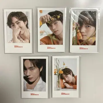 [ 미개봉 새상품 ] 김영대 포토 카드 5장 세트