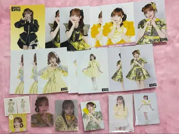 하야세 노엘 종이류