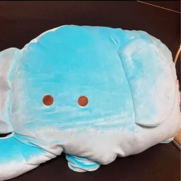 동글동글 눈망울 동물원 코끼리 모찌후와 빅