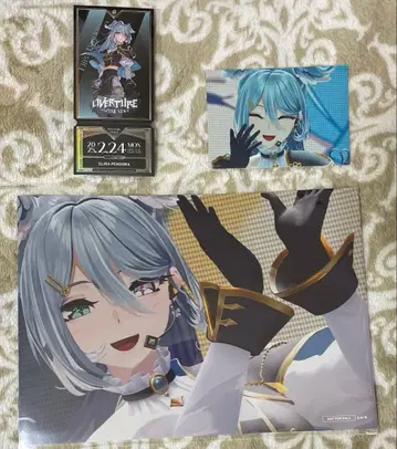 엘리라 니지 페스티벌