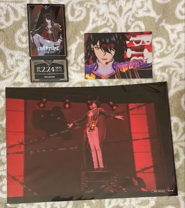 복스 니지 페스티벌