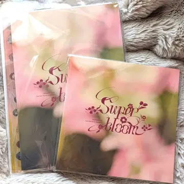 앙스타 스타포니 4th Superbloom 공식 팜플렛