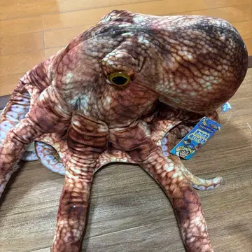 마타고짱 사카나군 프로듀스 특대형 리얼 봉제 인형 문어