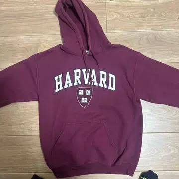 초 유명 대학의 후드티 이걸로 똑똑함이 조금 올라갈지도 모른다