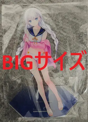서머포켓 나루세 시로하 2025ver BIG 아크릴 스탠드