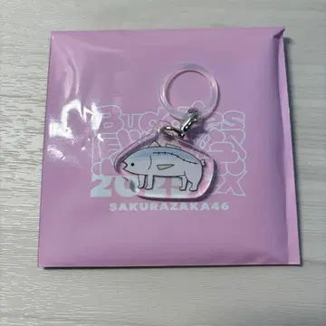 사쿠라자카46 마츠모토 카즈코 랜덤 메지루시 참