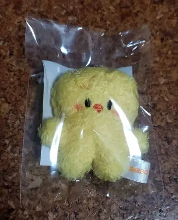 Straykids 스키즈 팬미팅 마이크로 키링 포가리 skzoo