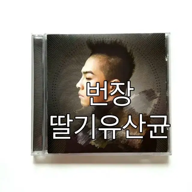 빅뱅 태양 디싱 희귀 소장 앨범 비매 노싸인 X