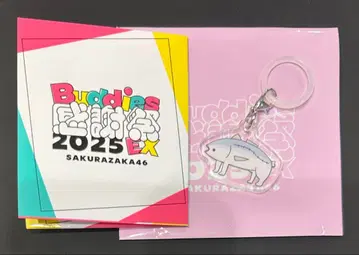 사쿠라자카46 마츠모토 카즈코 메지루시 참