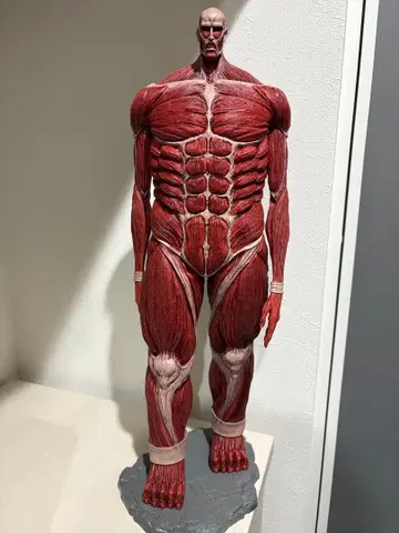 제일복권 진격의 거인 초 대형 거인 라스트 원상 [개봉품]