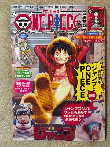 ONE PIECE magazine 원피스 매거진 20호