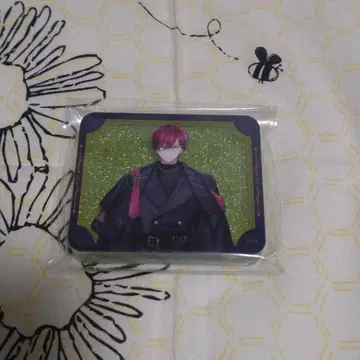 브레마이 1주년 아쿠브로 온다