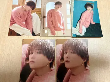 FANTASTICS 야기 유세이 즛토즛토 트레이딩 카드 5장 세트