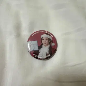 사쿠라자카46 캔뱃지 타니구치 아이리 산타 의상 Buddies 감사제