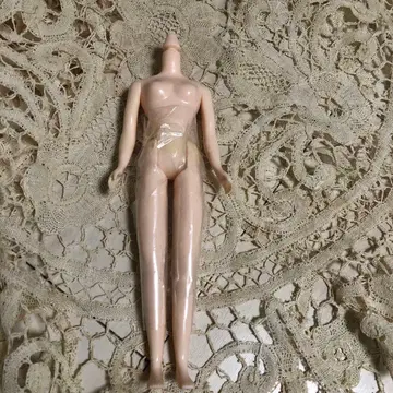 네오 브라이스 프레젠트 서프라이즈 디폴트 바디 에볼루션