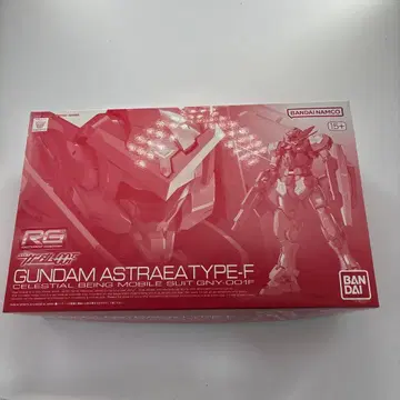 RG GUNDAM ASTRAEA TYPE-F 미개봉품