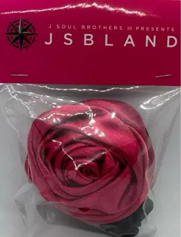 JSBLAND 로즈 스크런치 핑크 이와타 타카노리