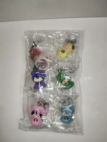 시쿠포니 메지루시 액세서리 6종 컴플리트