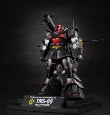 로봇혼 YMS-09 프로토타입 돔 ver. A.N.I.M.E.