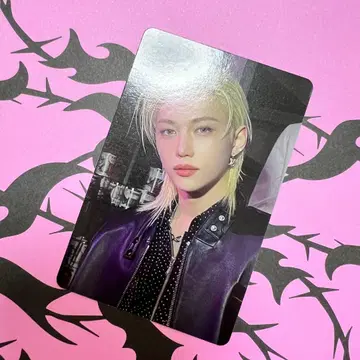 Stray Kids 필릭스 POPUP 집업 후디 트레이딩 카드