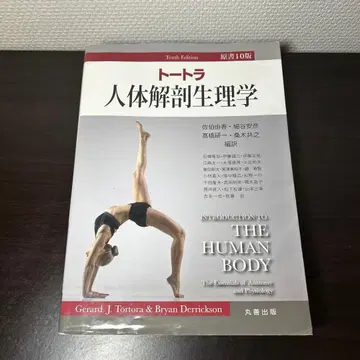 [ 원저 10판 ] 토트라 인체 해부 생리학 - 영어 학습에도 최적!