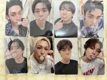 Stray Kids KARMA 영통 FANS 컴플리트