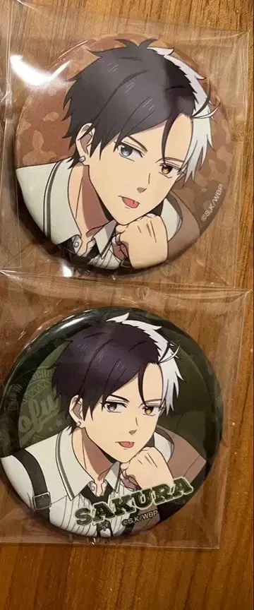 WIND BREAKER 트리 빌리지 카모플라쥬 사쿠라 하루카 캔뱃지