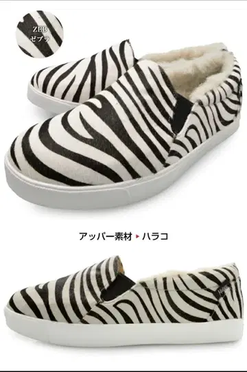 Meteo 메테오 슬립온 무스탕 남성용 스니커즈 제브라 패턴