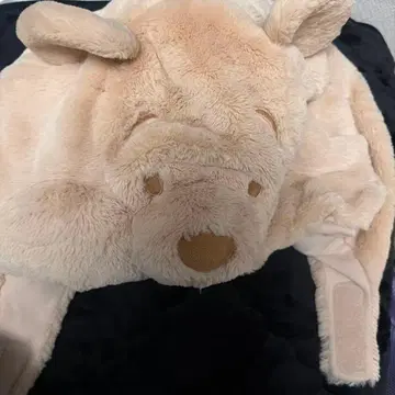 디즈니 푸우 팬캡