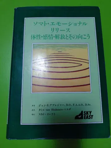 소마토이모셔널 릴리스: 체성 감정 해방과 그 너머