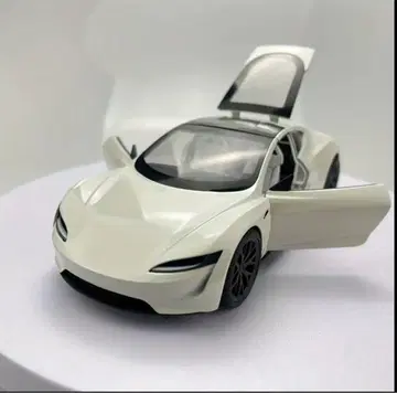 테슬라 미니카 화이트 모델카