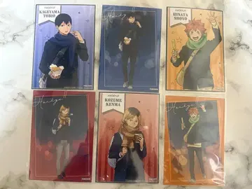 하이큐!! 코스모 월드 비주얼 카드 히나타 카게야마 연마