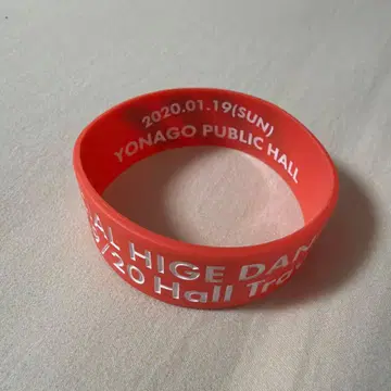 히게단 러버 밴드 [ 요나고 공연 ]