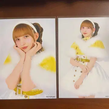 하야세 노엘 크리스마스 의상 브로마이드