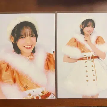 진세이 스즈카 크리스마스 의상 브로마이드